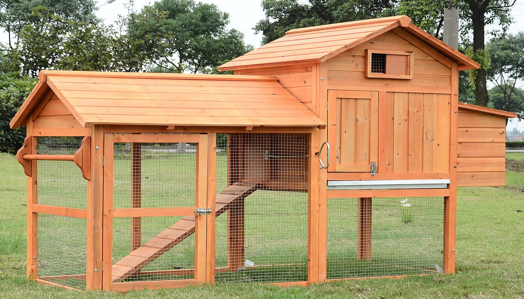 Building a Chicken Coop Reviews  Creating the Perfect Coop