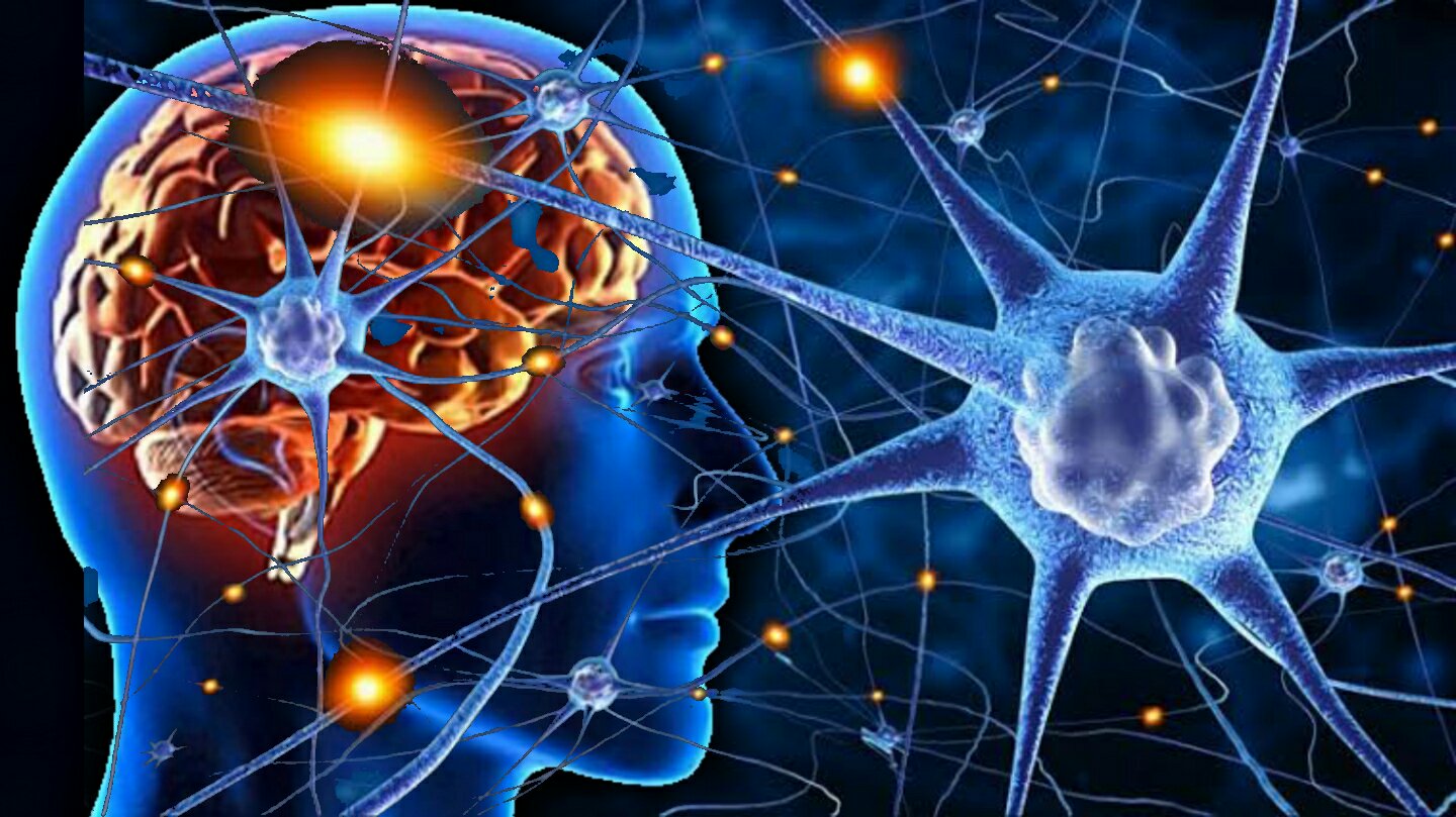 Scientifically Proven Neuroplasticity IQ Training Reviews Unlocking Your Cognitive Potential